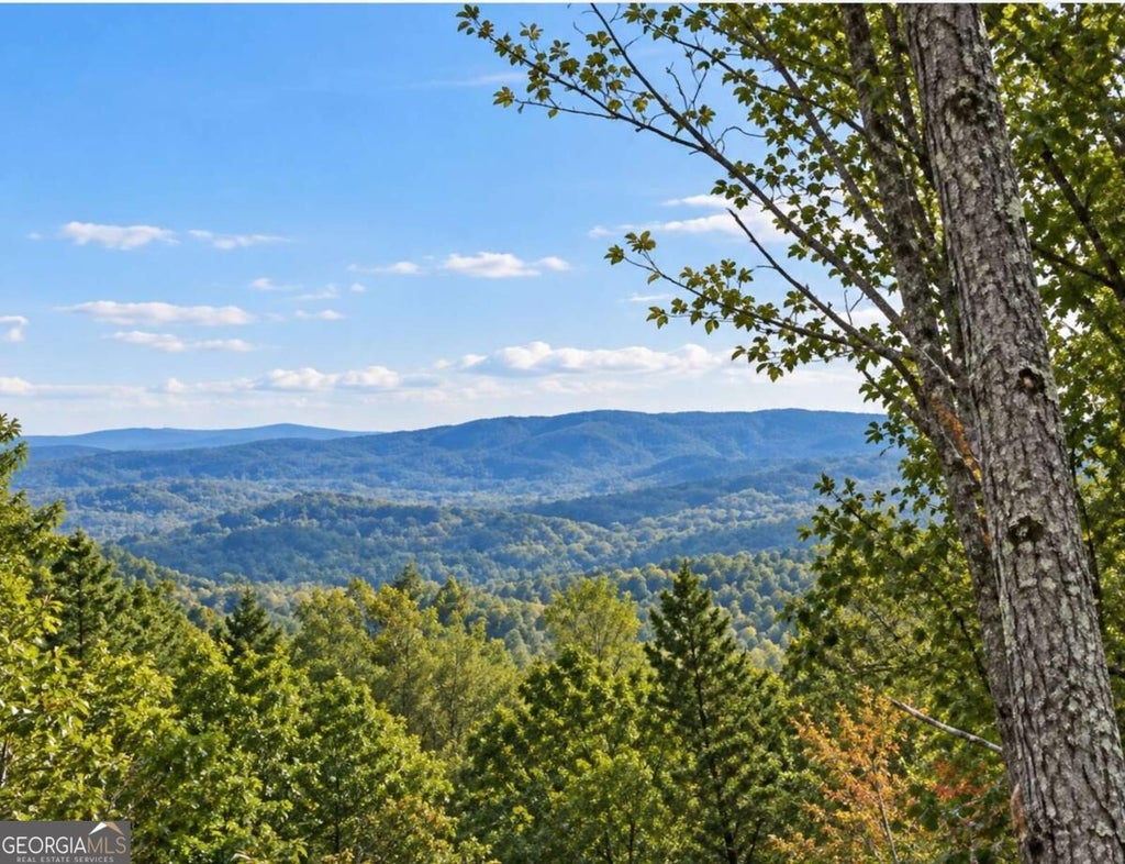 Photo of 103 Blalock Mountain Road, Ellijay, GA 30540 (MLS # 10878759)