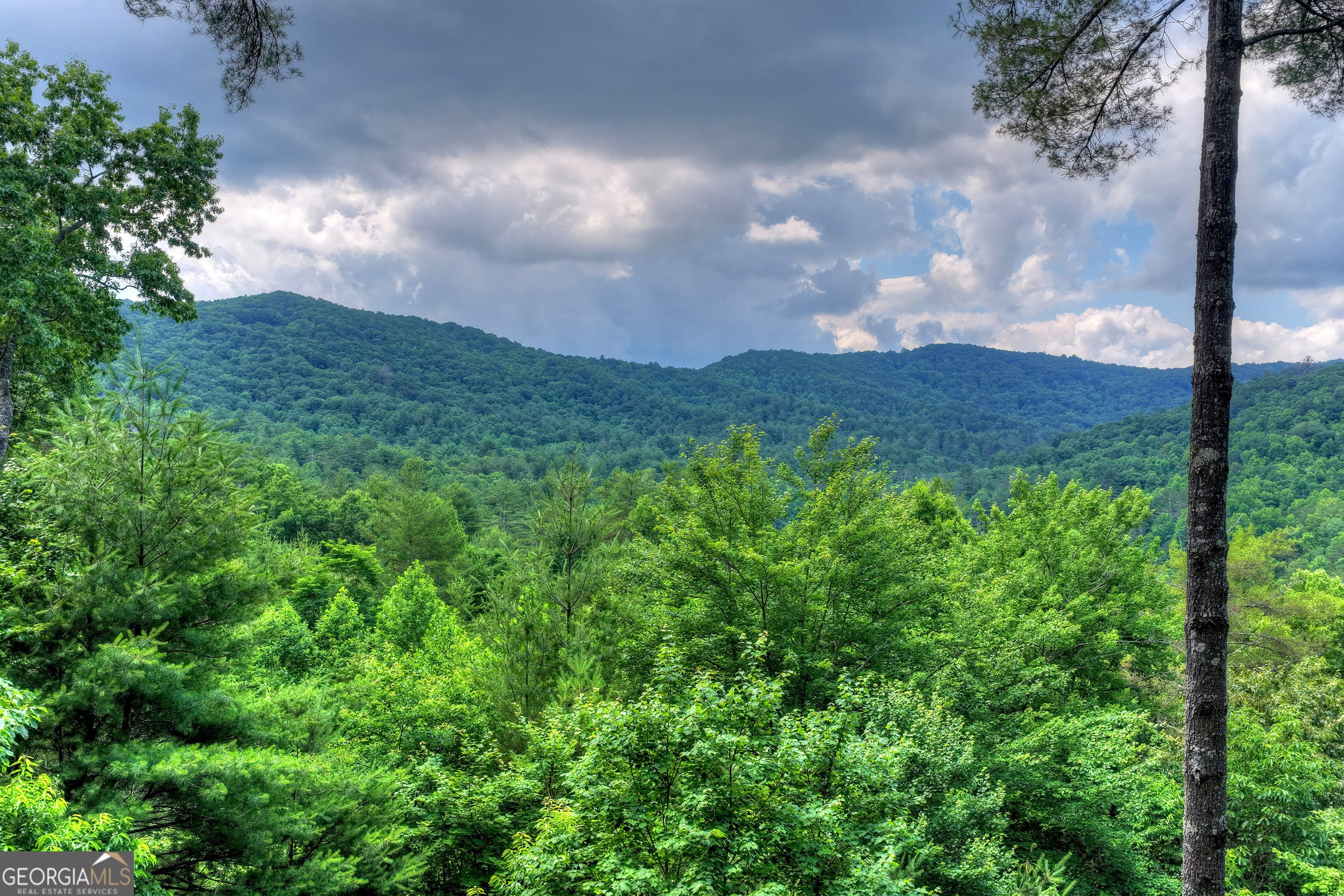 255 Indian Ridge RD