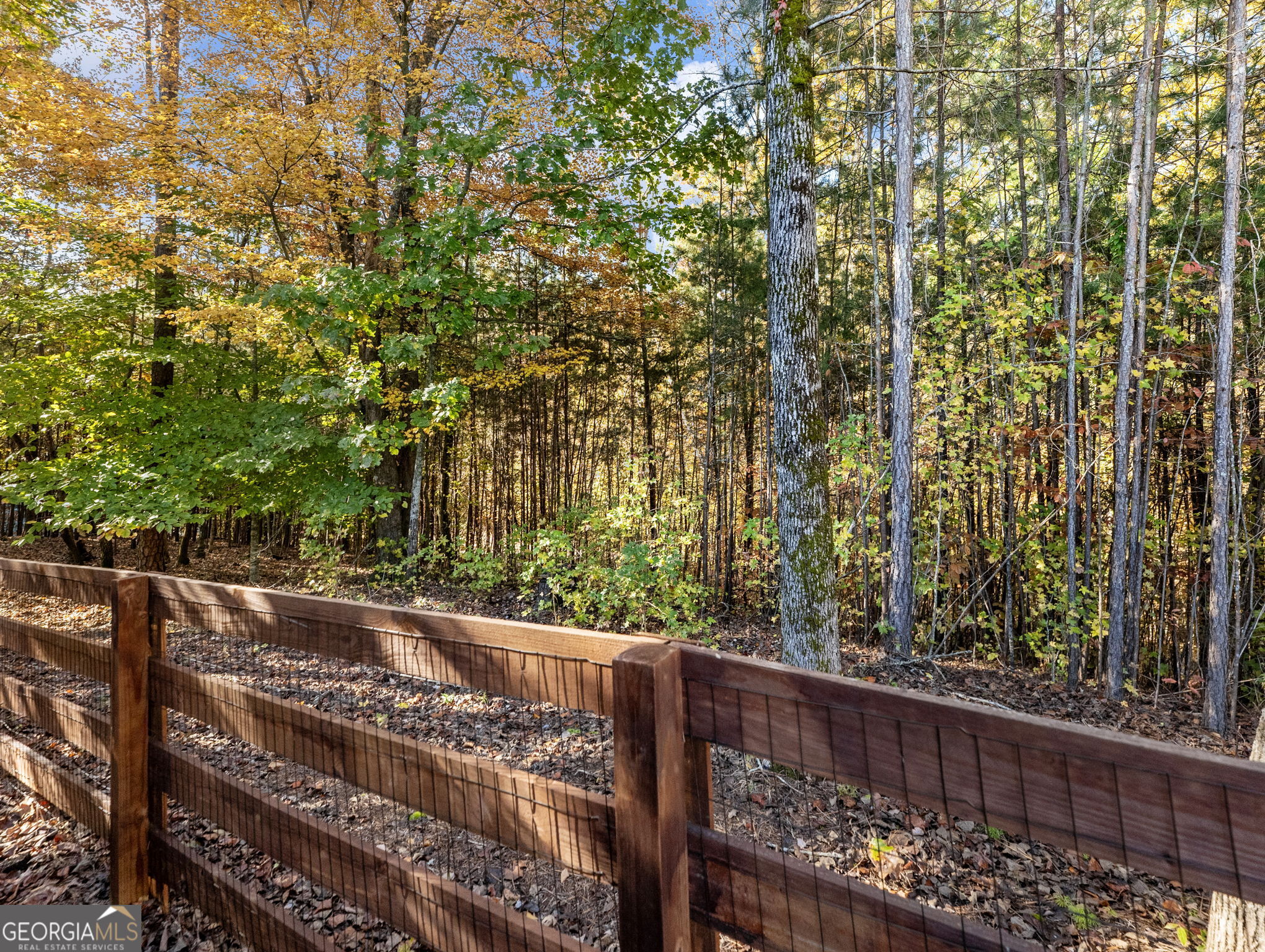 Windsor Forest - Residential