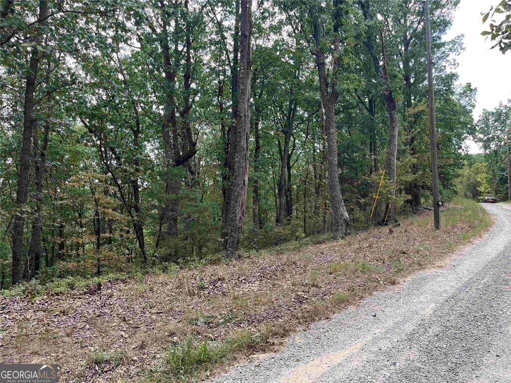 Photo of 32 Antler Court, Ranger, GA 30734 (MLS # 10721868)