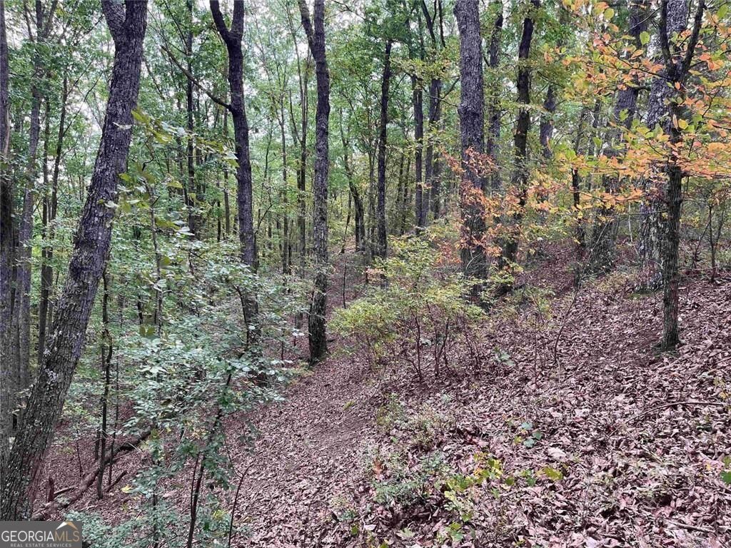 Photo of 32 Antler Court, Ranger, GA 30734 (MLS # 10721868)