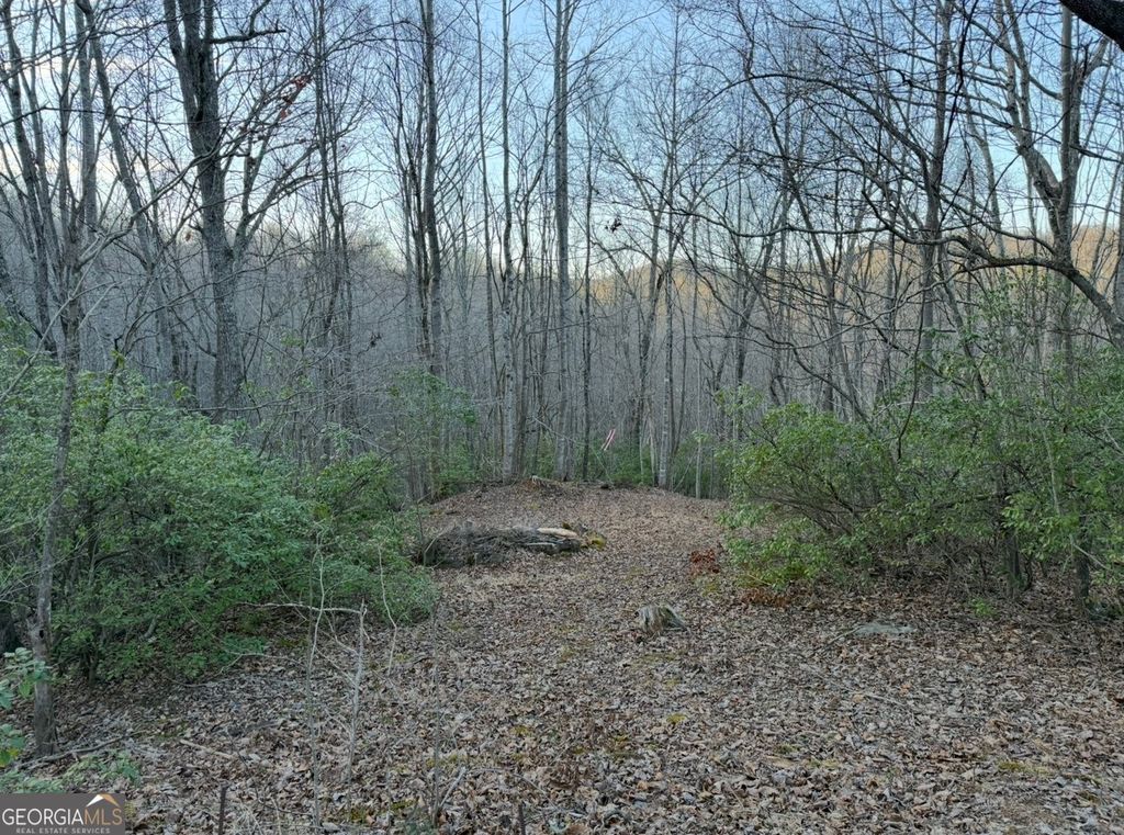 Photo of 0 Gove, Sautee Nacoochee, GA 30571 (MLS # 10695831)