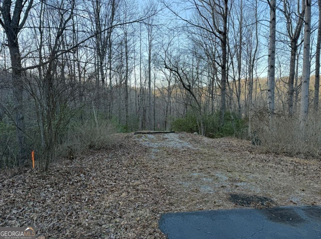 Photo of 0 Gove, Sautee Nacoochee, GA 30571 (MLS # 10695831)