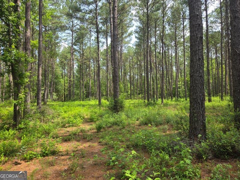 Photo of 0 Colby Drive, Dublin, GA 31021 (MLS # 10794258)