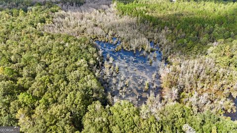 0 Rocky Springs RD Eastman GA 31023