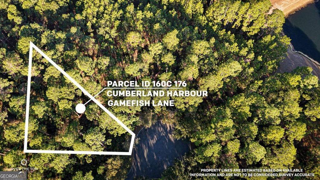 Photo of 176 Gamefish Lane, St. Marys, GA 31558 (MLS # 10697654)