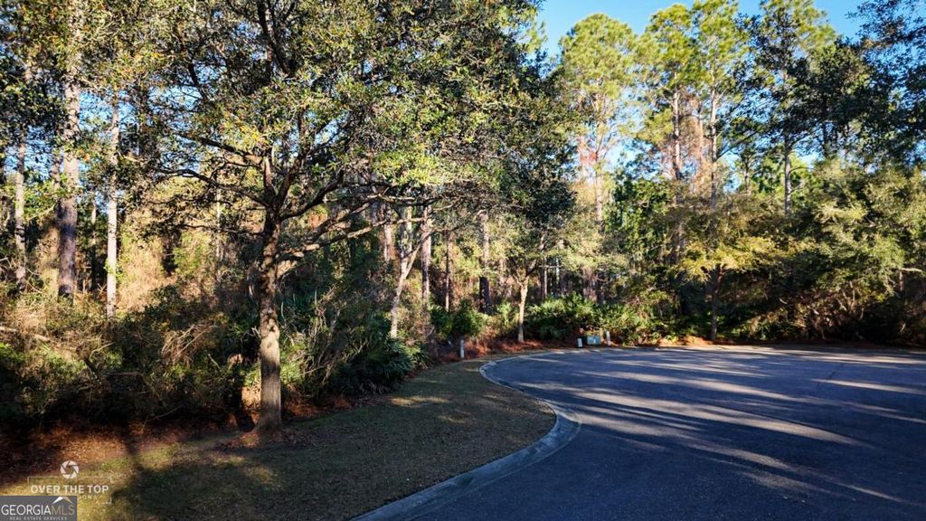 Photo of 176 Gamefish Lane, St. Marys, GA 31558 (MLS # 10697654)