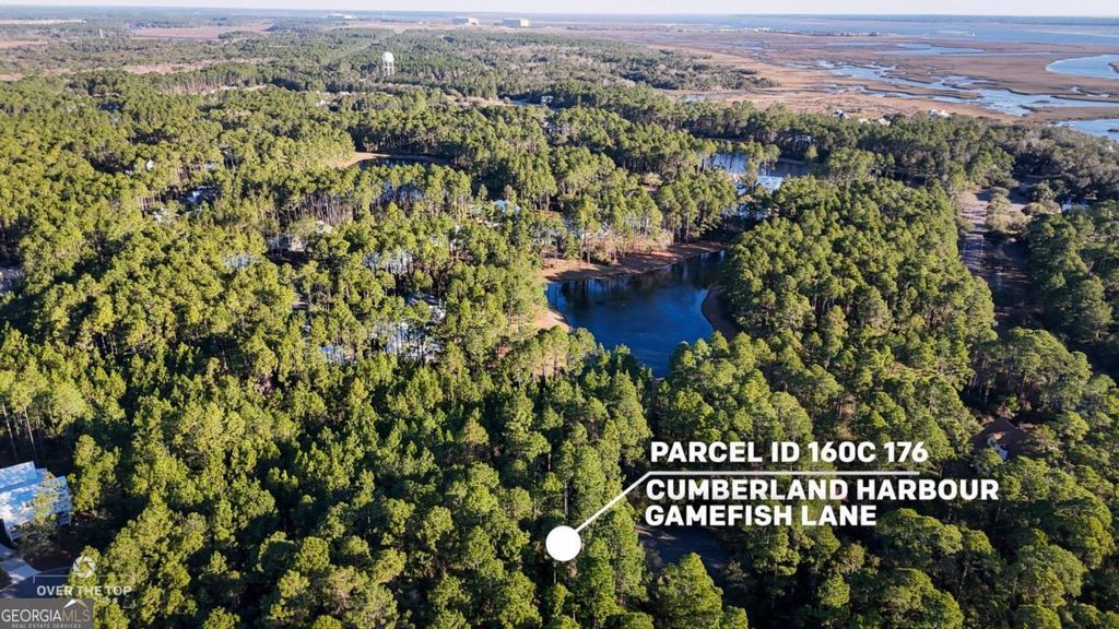 Photo of 176 Gamefish Lane, St. Marys, GA 31558 (MLS # 10697654)