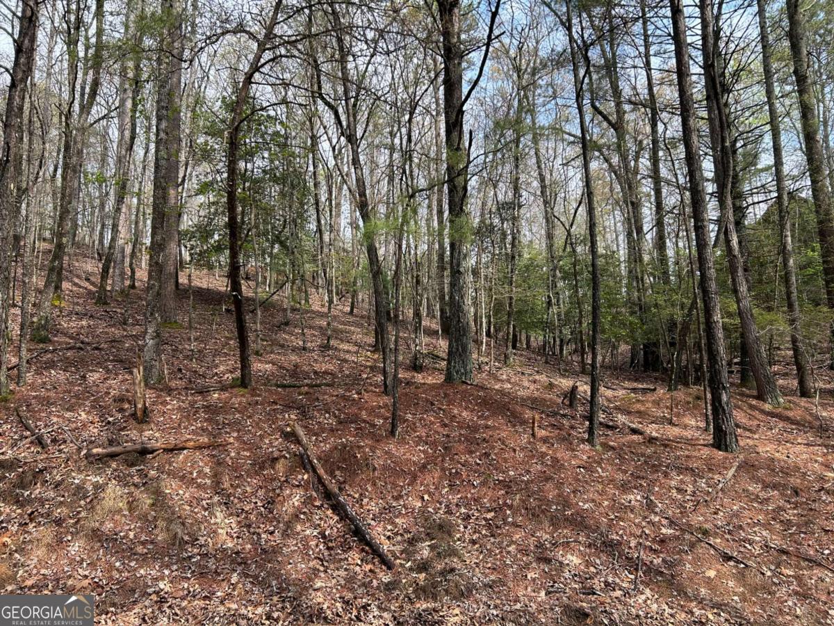 LT2788 Medina CT