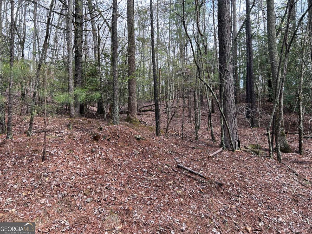 LT2788 Medina CT