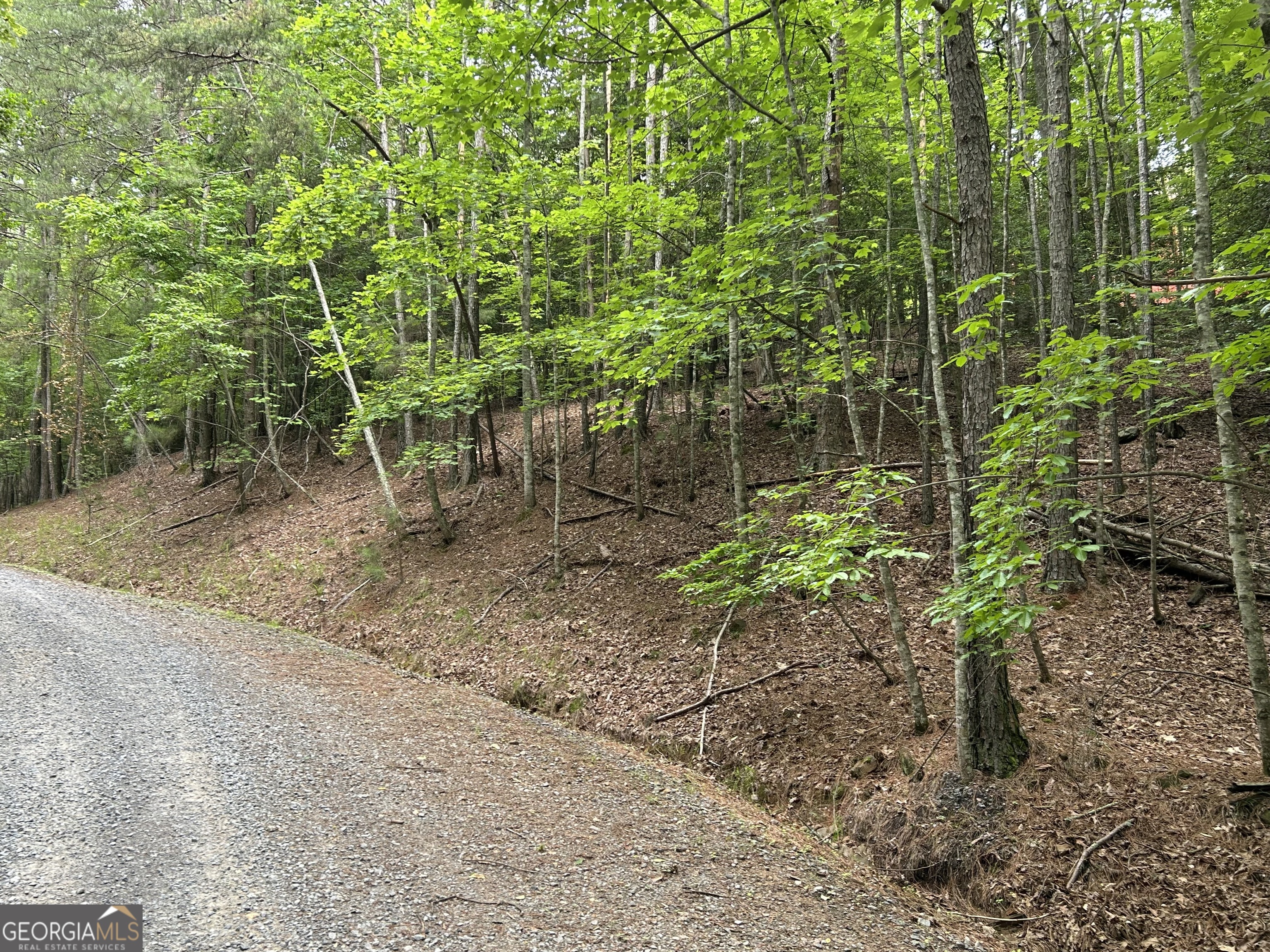 Buildable lot in a Mountain Resort Community with so much to do that you never need to leave the community. Bring Your Builder. Soil Test and Survey has already been done for you. Highspeed Internet Available. UTV's permitted, Short Term Rentals Permitted, Several Parks, 3 Swimming Pools, Tennis, Pickleball, Fishing, Tubing, Kayaking, Putt Putt, and community activities such as Bingo, Trivia Night, Concerts, Events and More...