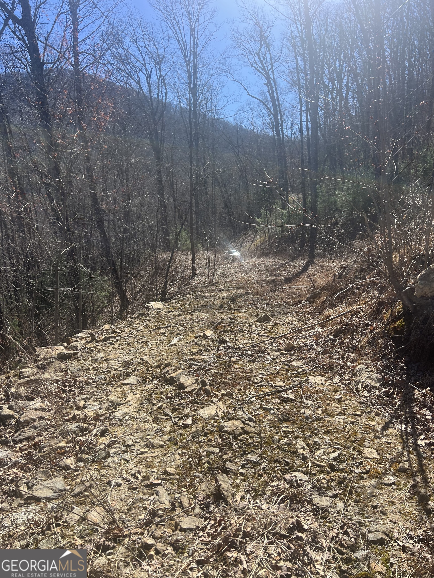 0 Walnut Mountain