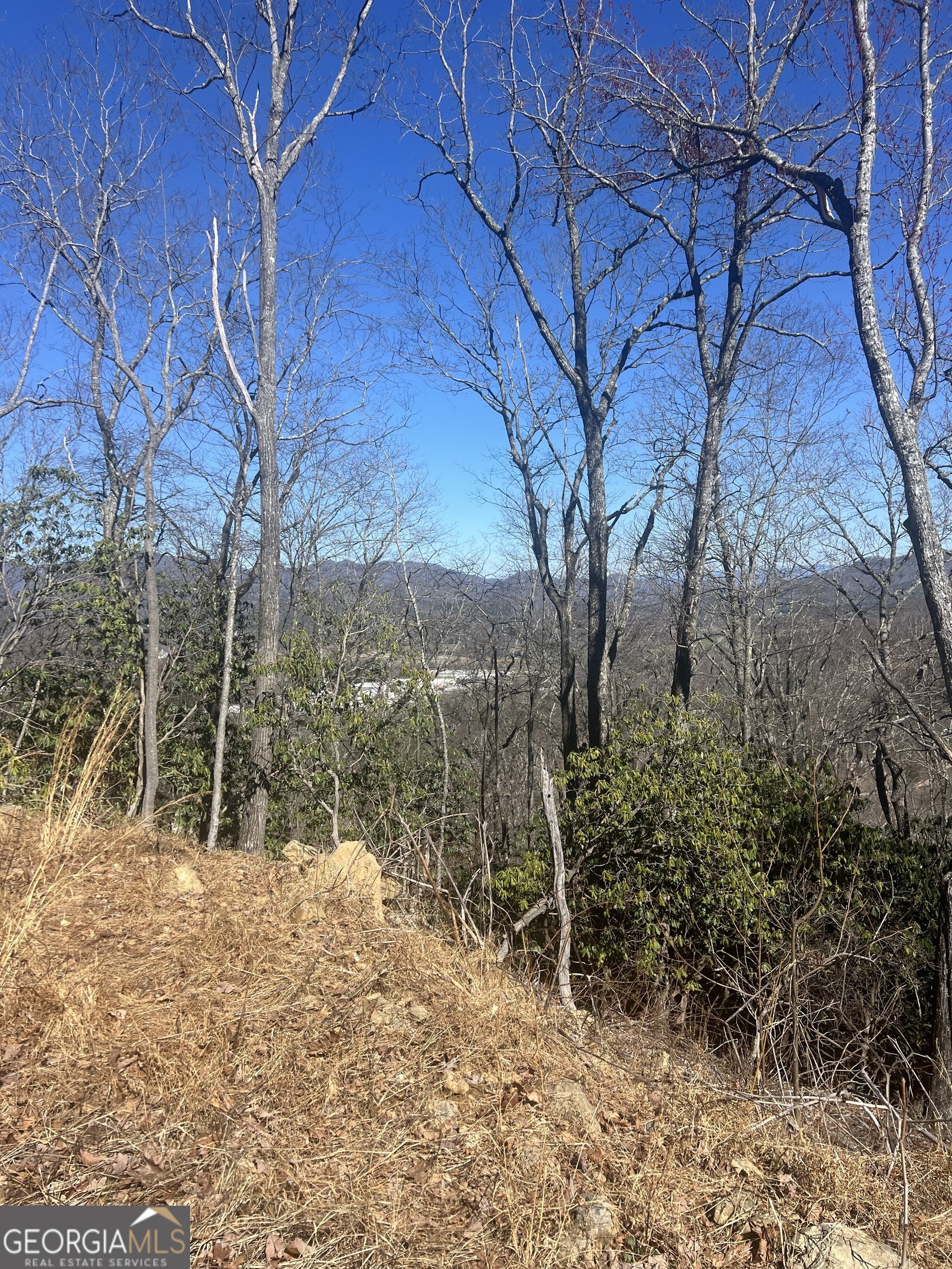 0 Walnut Mountain