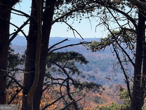 0 John Call RD Talking Rock GA 30175