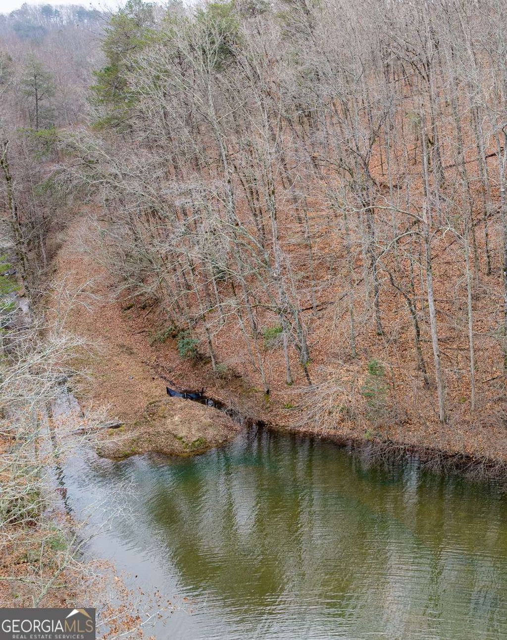 Photo of 161 Headwaters Court #LOT 161, Cleveland, GA 30528 (MLS # 10656235)