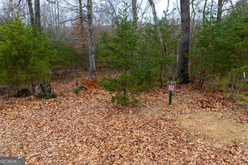Photo of 161 Headwaters Court #LOT 161, Cleveland, GA 30528 (MLS # 10656235)