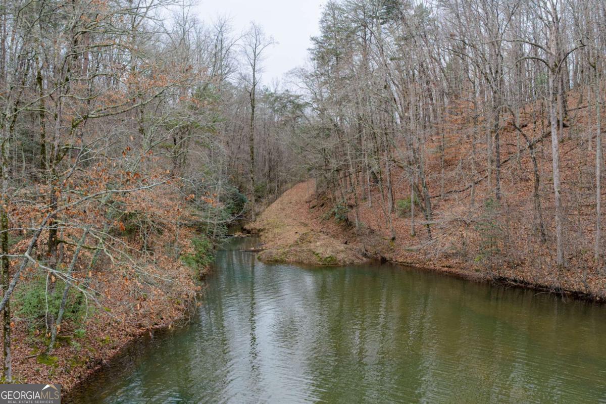 161 Headwaters CT LOT 161