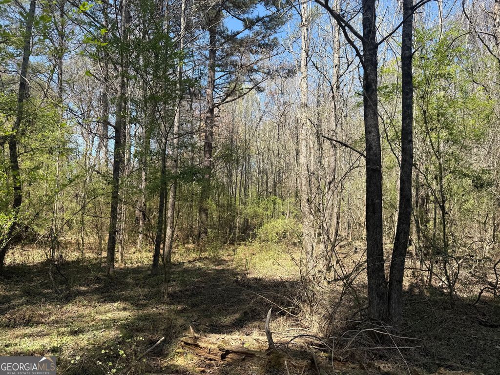 Photo of 78 Mullinax Road, Taylorsville, GA 30178 (MLS # 10717115)