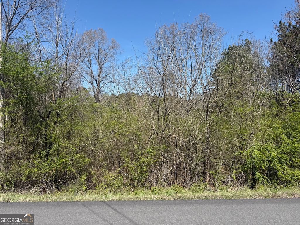 Photo of 78 Mullinax Road, Taylorsville, GA 30178 (MLS # 10717115)