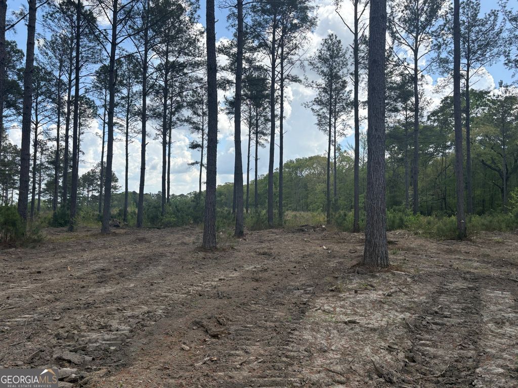 Photo of 1 DC Hardie Road, Gordon, GA 31031 (MLS # 10742182)