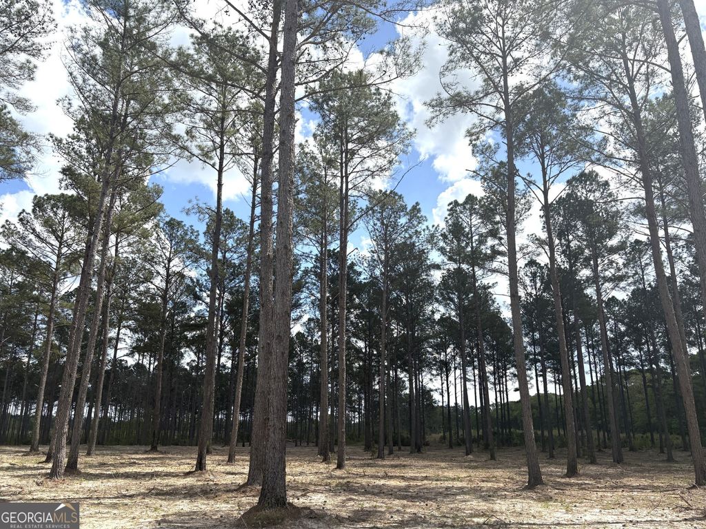 Photo of 1 DC Hardie Road, Gordon, GA 31031 (MLS # 10742182)