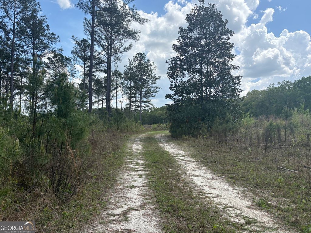 Photo of 1 DC Hardie Road, Gordon, GA 31031 (MLS # 10742182)