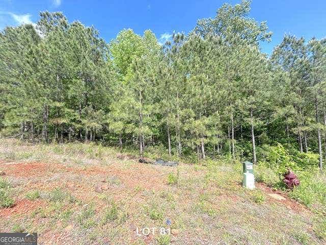 Photo of 154 Oakdale Way, Temple, GA 30179 (MLS # 10815684)