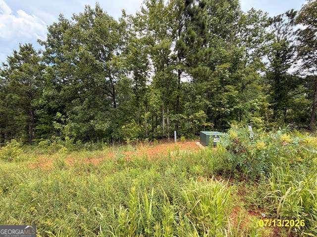 Photo of 154 Oakdale Way, Temple, GA 30179 (MLS # 10815684)