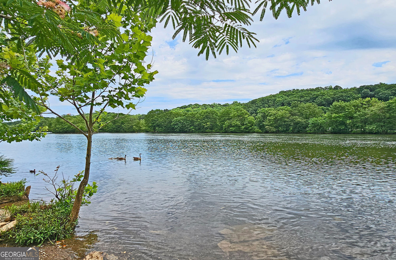 Roswell, Georgia 30075, United States, 3 Bedrooms Bedrooms, ,3 BathroomsBathrooms,Residential,Pending,192564