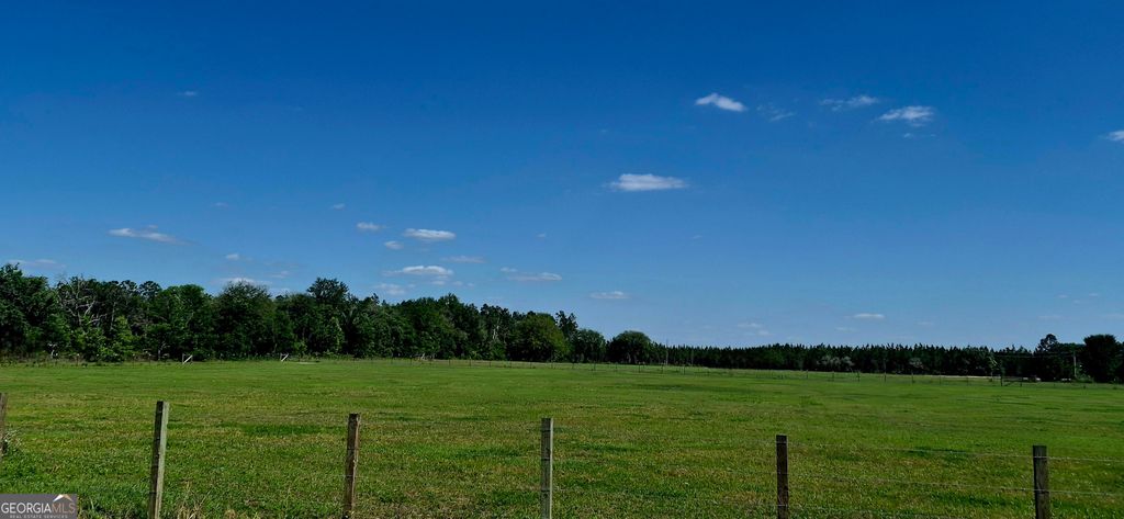 Photo of 352 Farm Road, Saint George, GA 31562 (MLS # 10767934)