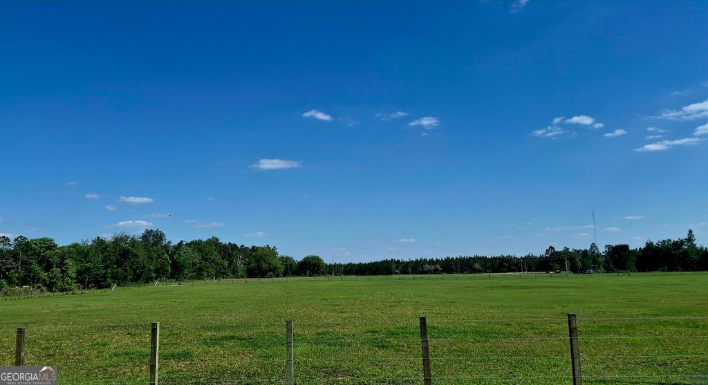 Photo of 352 Farm Road, Saint George, GA 31562 (MLS # 10767934)