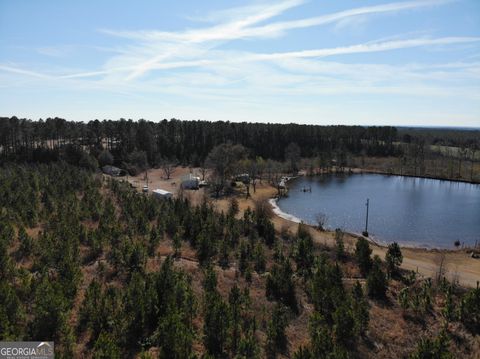 271 Marchants Dairy RD Rhine GA 31077