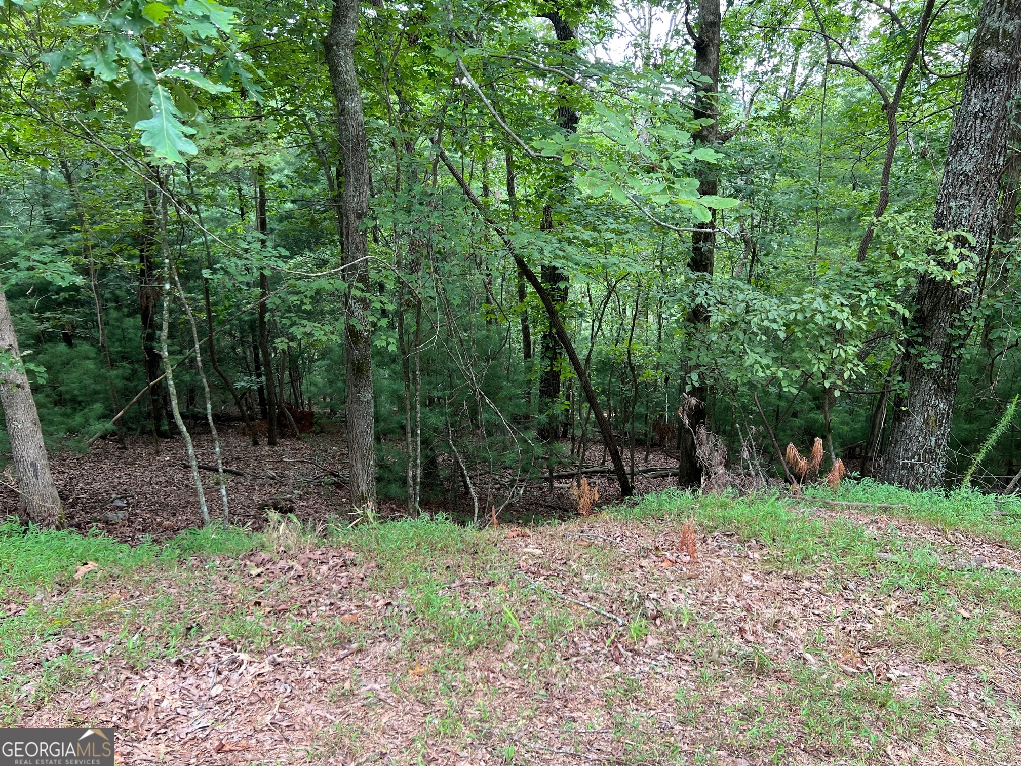 167 Tara DR