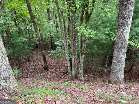 167 Tara DR Ellijay GA 30540