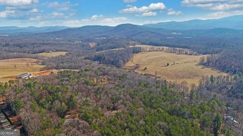 A home in Ellijay