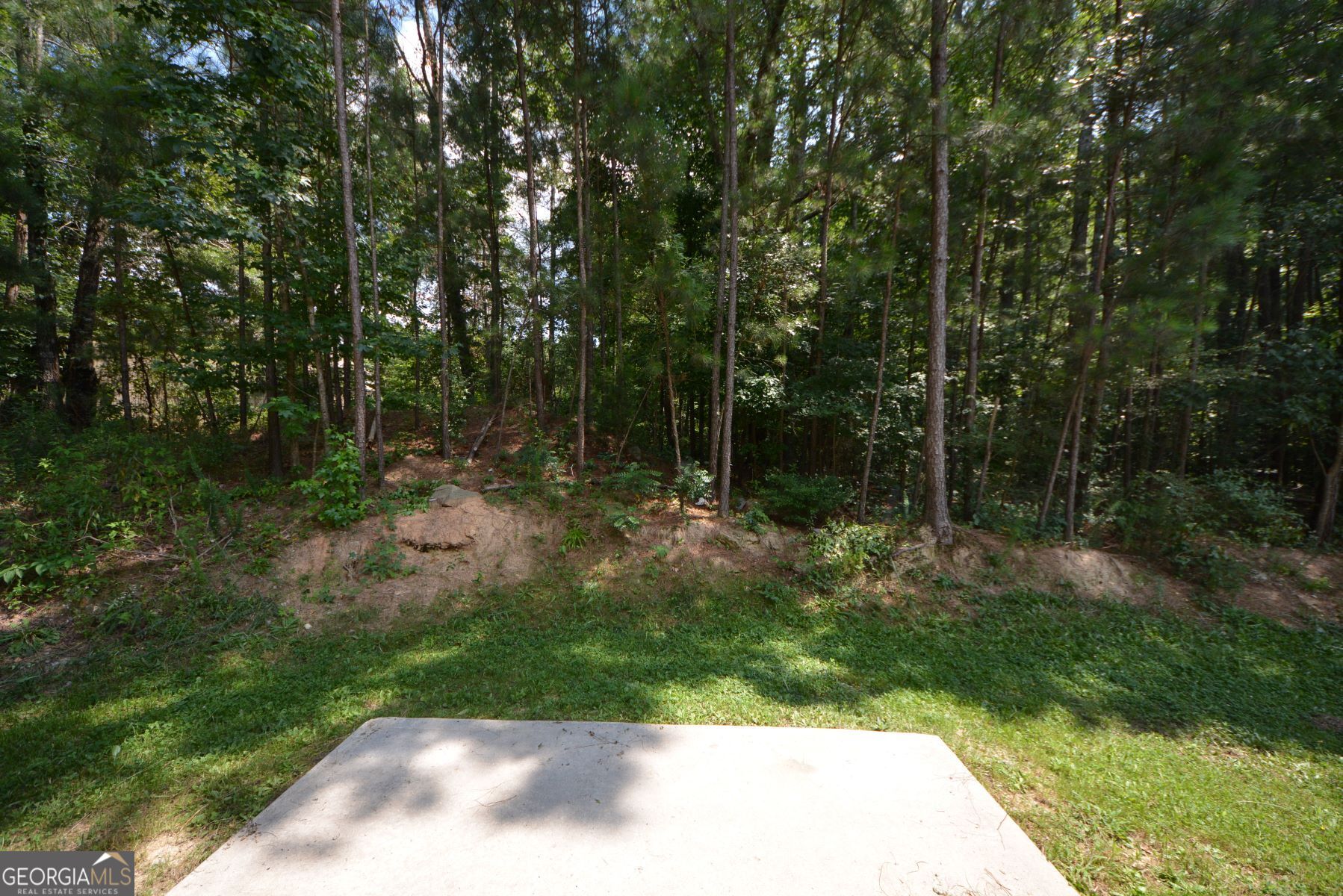6426 Grey Fox WAY