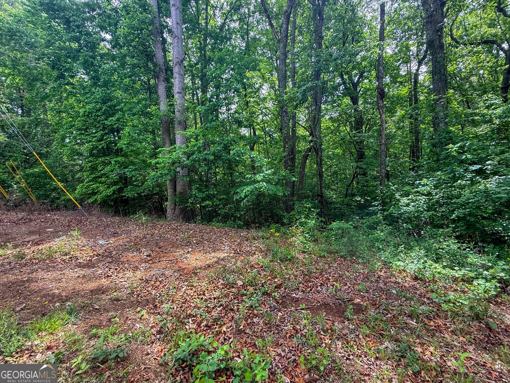 Photo of 99 Lake Harbor Trail #LOTS 309-312, Martin, GA 30557 (MLS # 10827044)