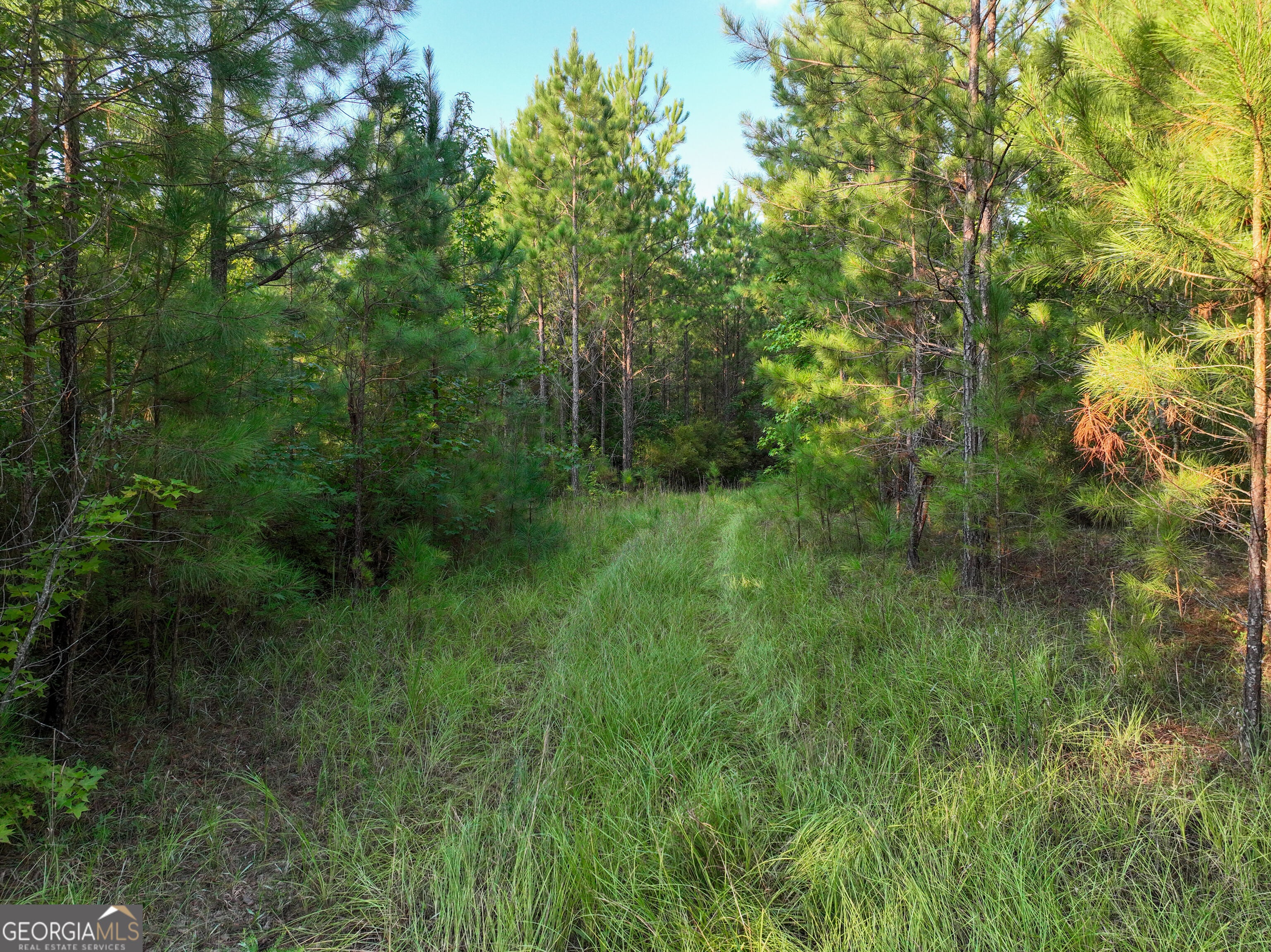 110 & 200 McCullar Weaver RD