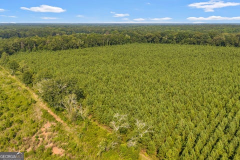 Photo for ALLEN LOT B Turkey Creek RD