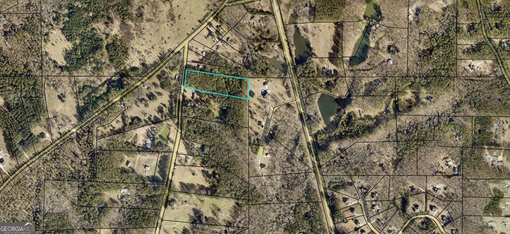 Photo of 0 Lee Thompson, Moreland, GA 30259 (MLS # 10684158)