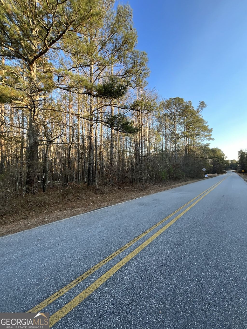 Photo of 0 Lee Thompson, Moreland, GA 30259 (MLS # 10684158)