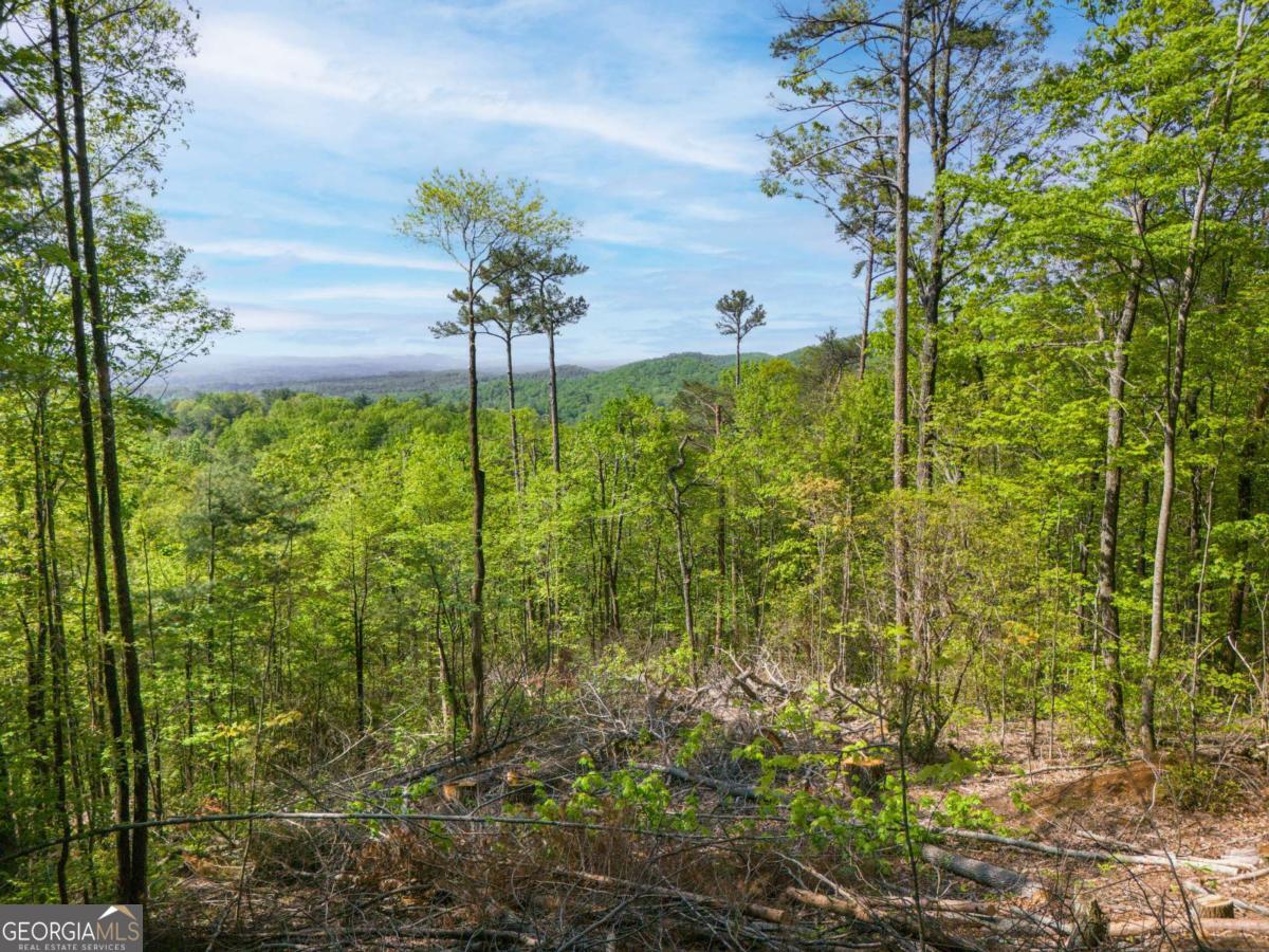 LOT 73 Mountain View RD