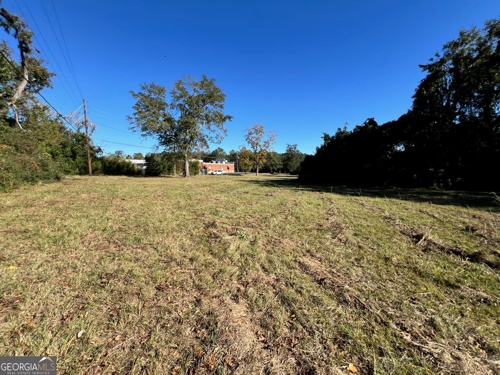 Photo of 72312 S Main Street, Statesboro, GA 30458 (MLS # 10872464)