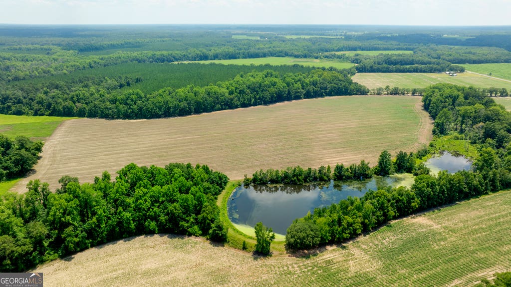 Photo of 0 Sunbury Road, Claxton, GA 30417 (MLS # 10817725)