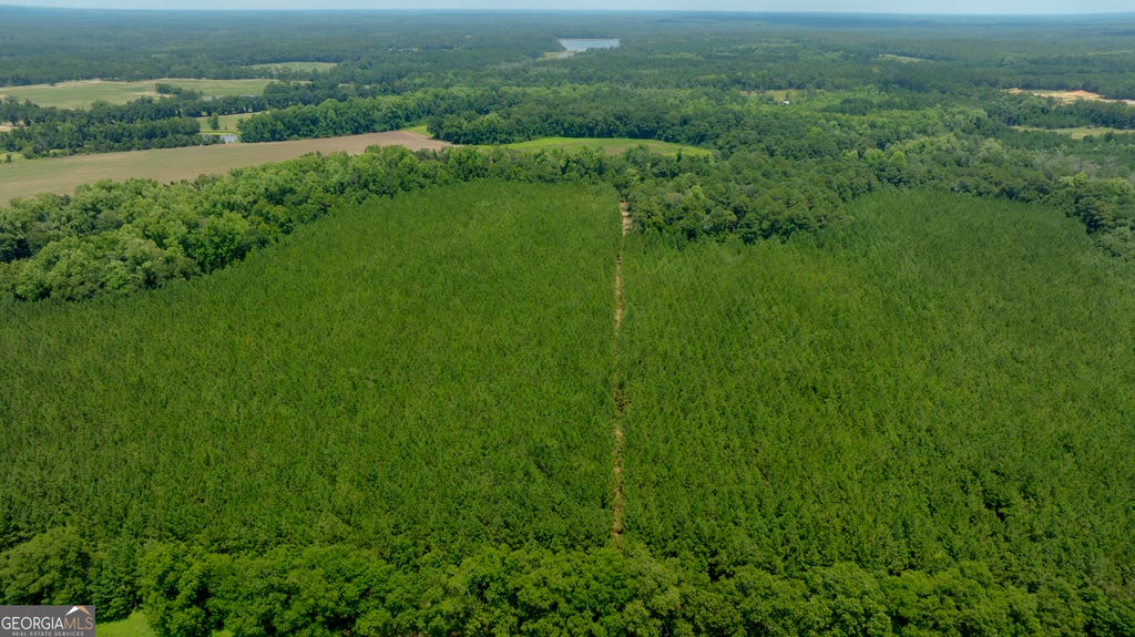 Photo of 0 Sunbury Road, Claxton, GA 30417 (MLS # 10817725)