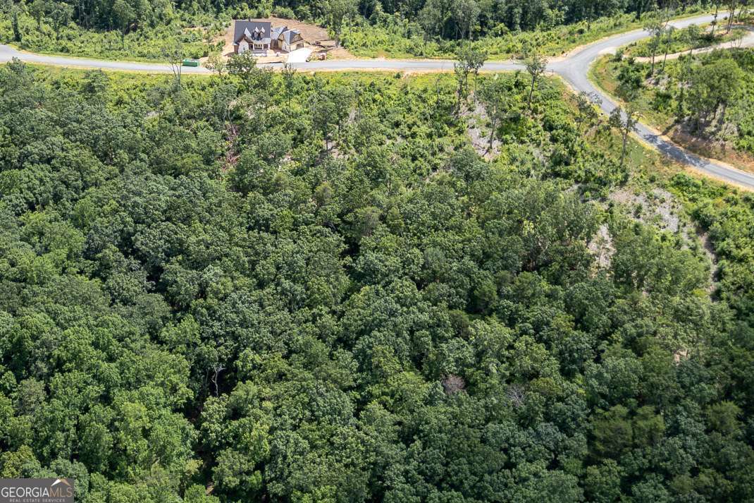 LOT 171 Shagbark CT