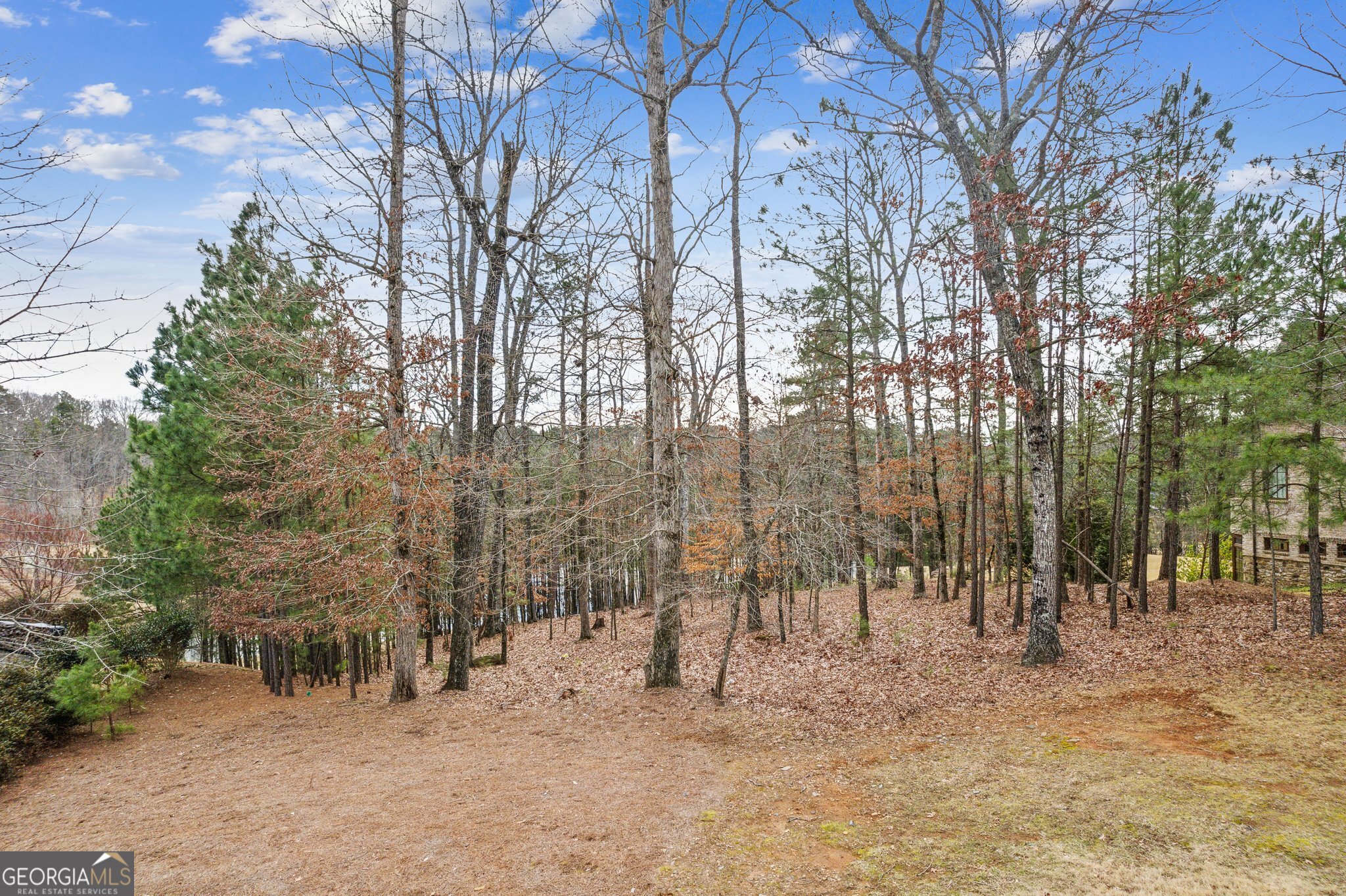 4921 Roaring Fork PASS