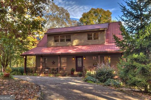 A home in Mineral Bluff