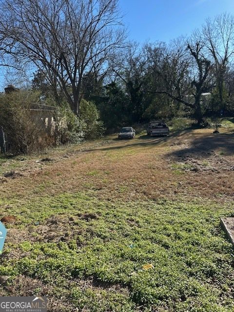 Photo of 1202 E 9th Street, West Point, GA 31833 (MLS # 10675252)