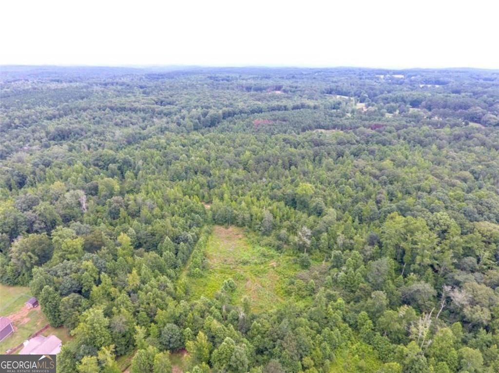 Photo of 0 Bridle Creek #962, Dallas, GA 30157 (MLS # 10701470)